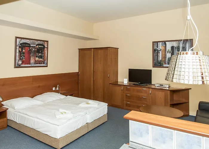 Zelena Zaba 3* Pardubice